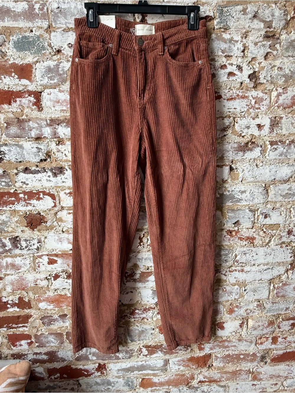 Gilded Intent Men’s Corduroy Pants in Rust